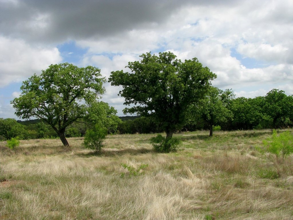 Picture 24