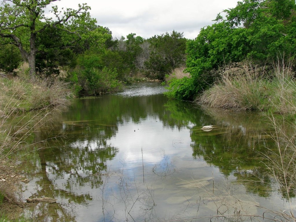 Picture 19