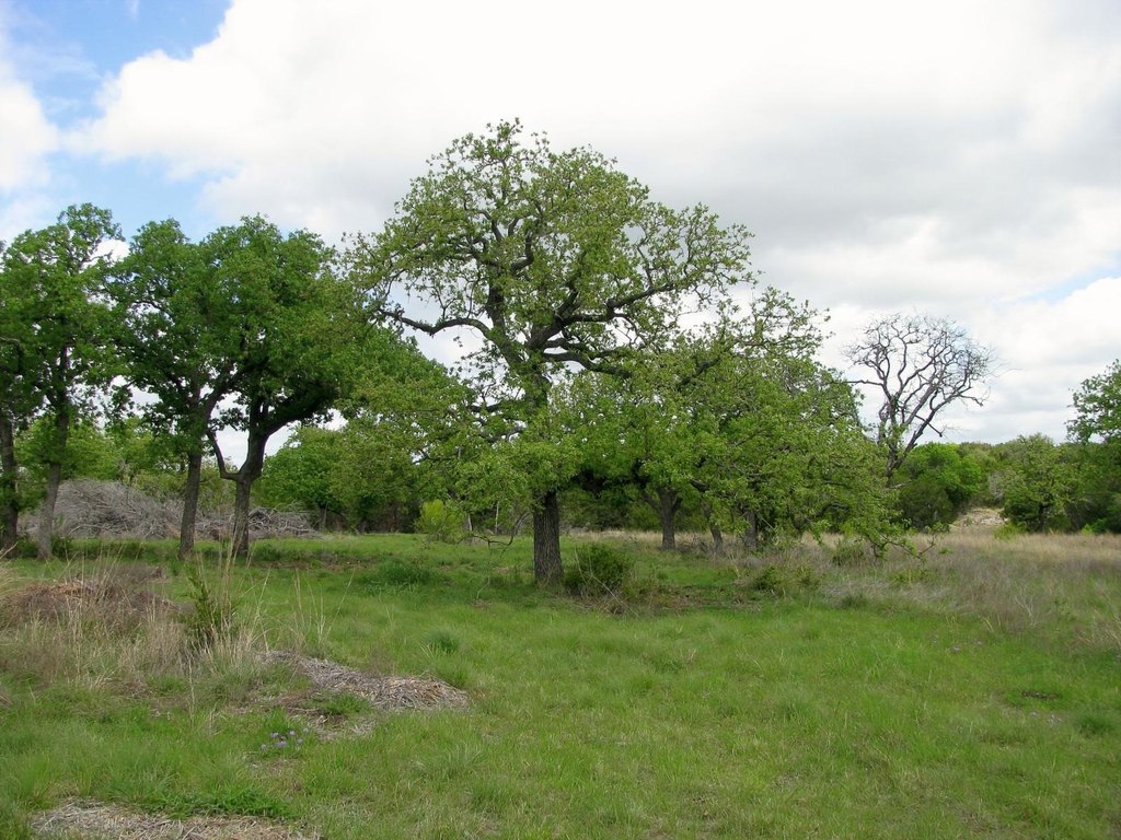 Picture 28
