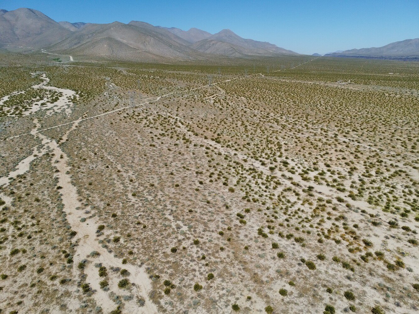 Pearsonville Vacant Land Opportunity