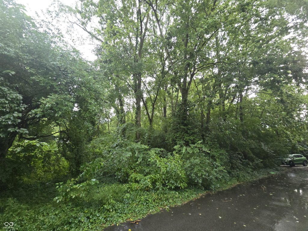 Picture 3