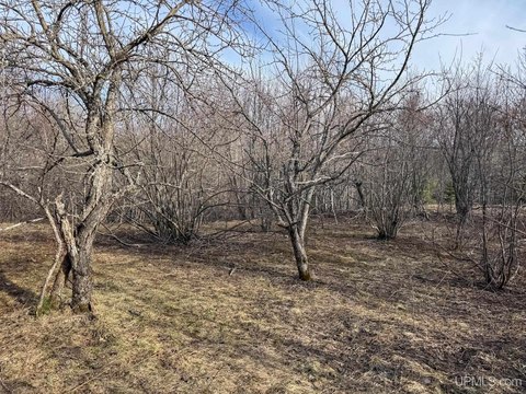 Mohawk Land with Creek Frontage