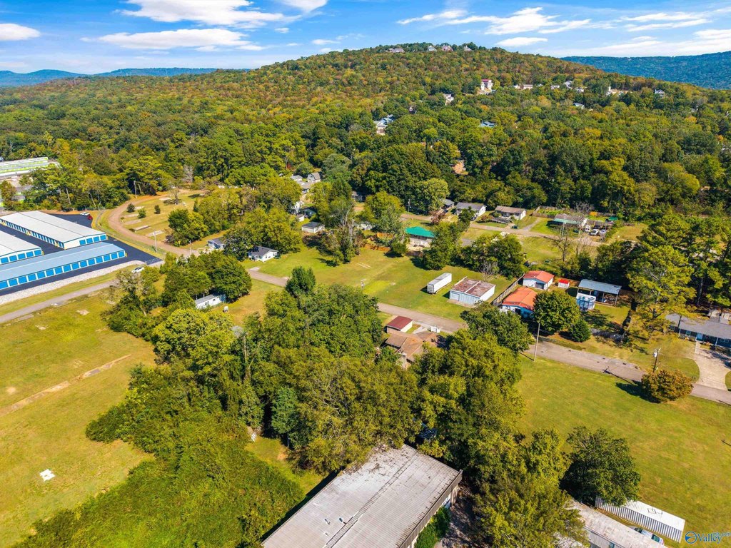 Picture 18