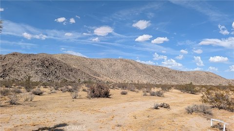 Land, Joshua Tree, CA