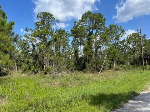 Residential Home Lot in Gulf Acres