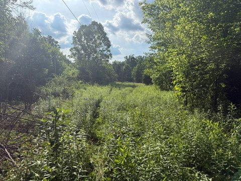 Vacant Land - Liberty, KY