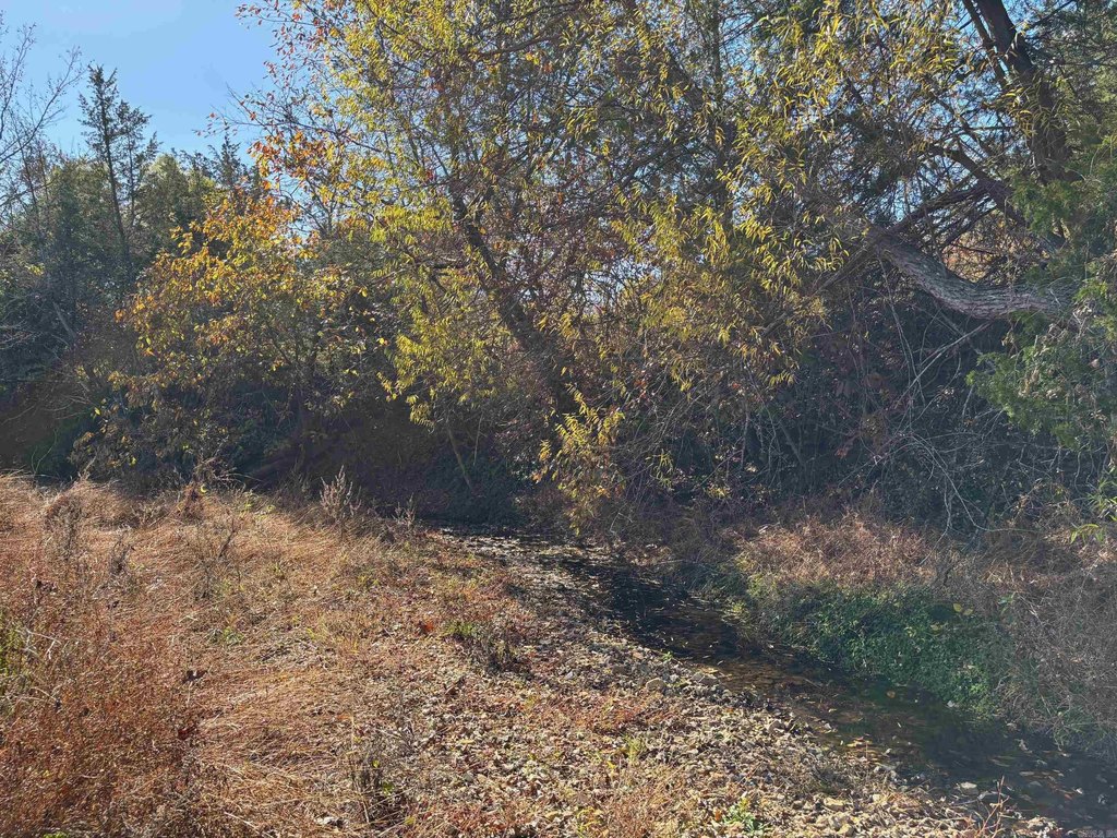 Picture 25