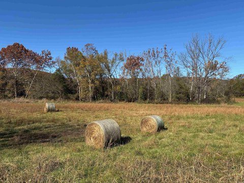 Land Near Buffalo National River