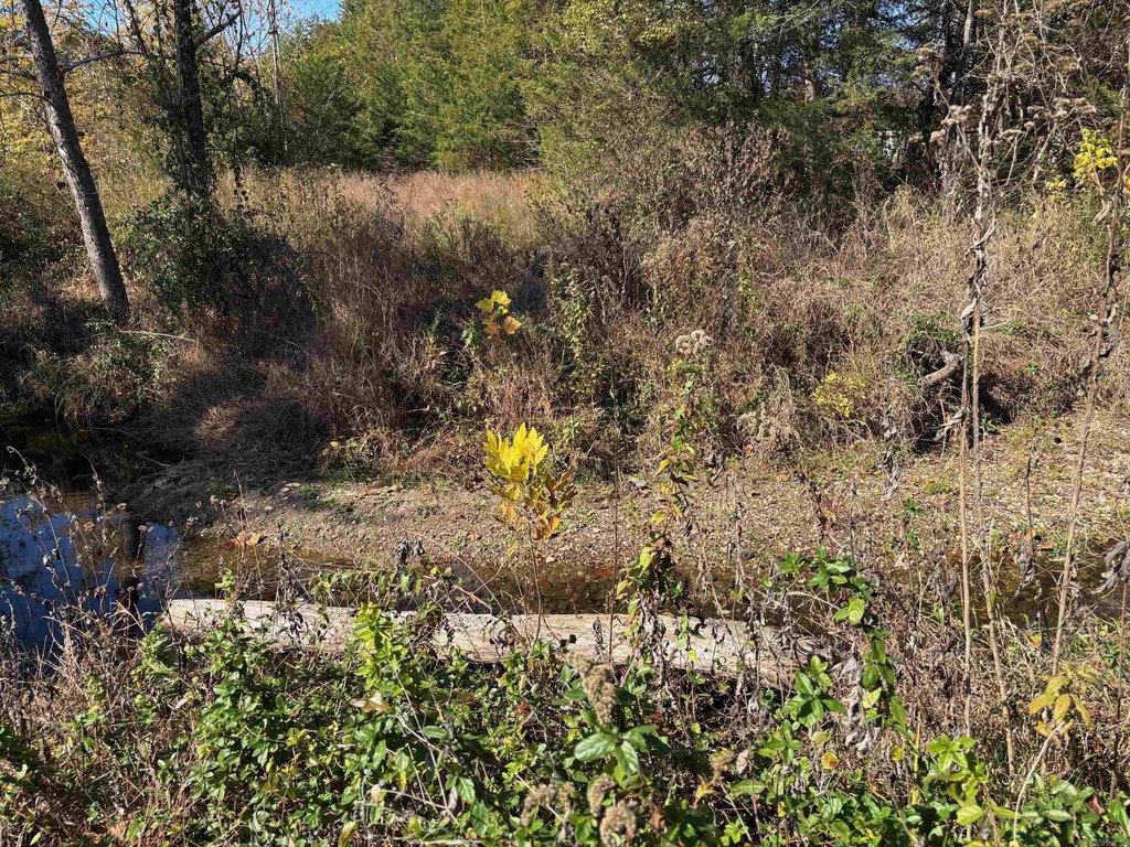 Picture 27