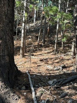 LAND - Cloudcroft, NM