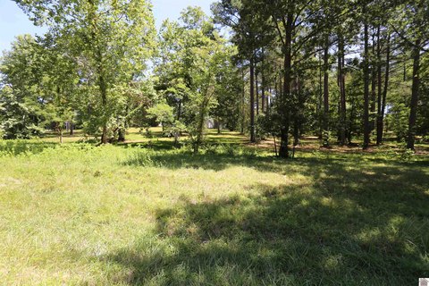 Waterfront Residential Lot