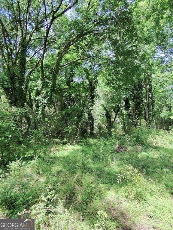 Picture 17