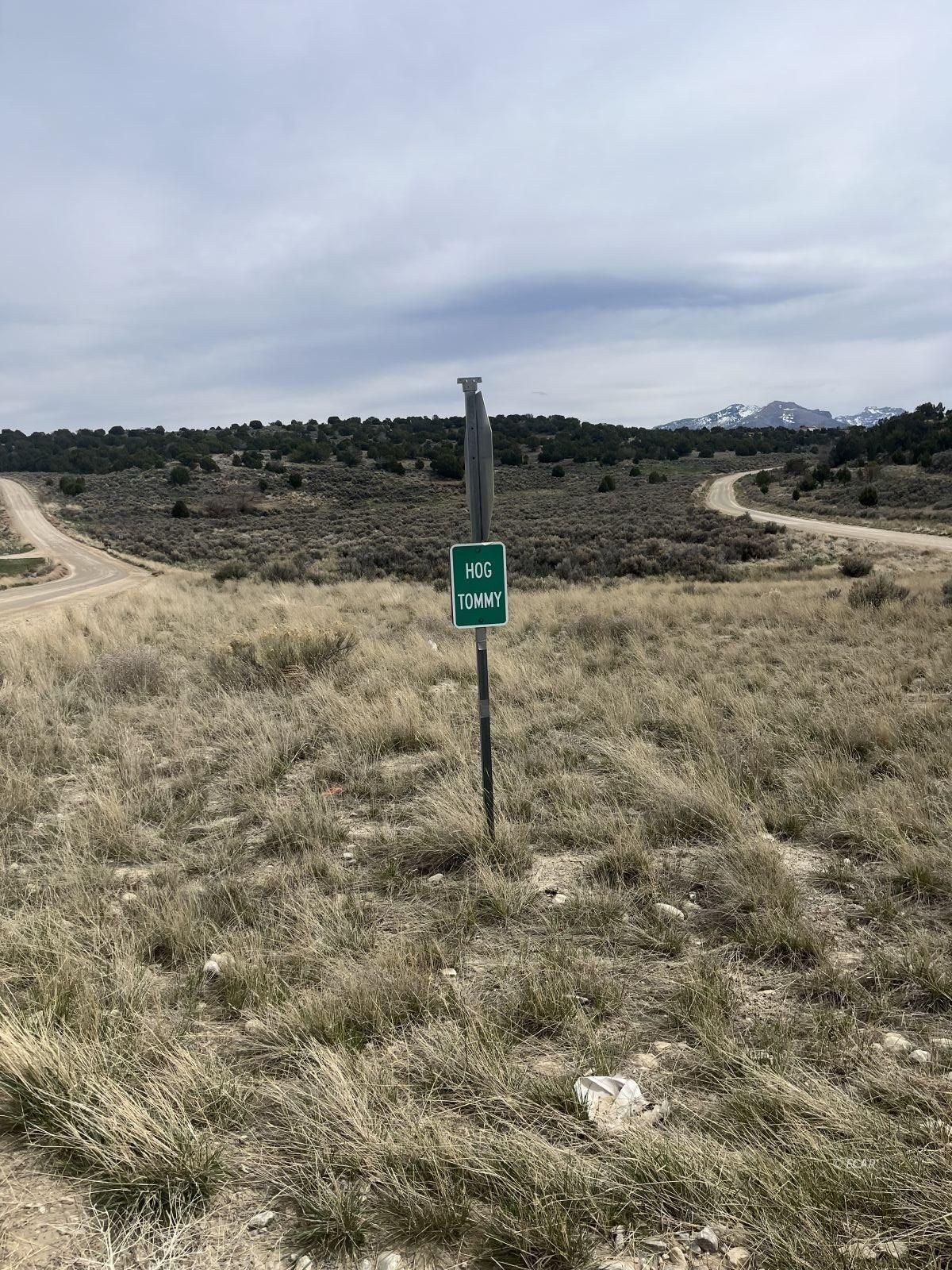 57.3 Acres in Spring Creek