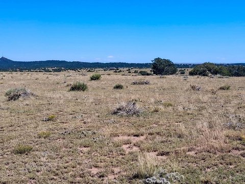 Undeveloped Land in Walsenburg, CO
