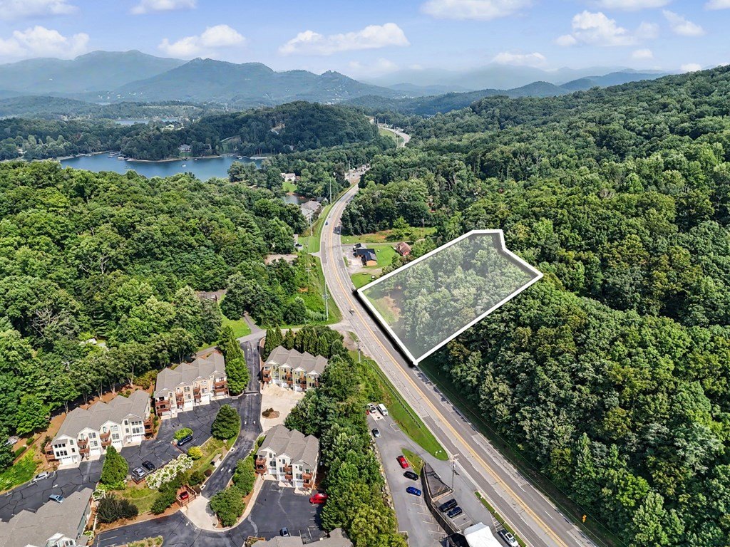 Picture 3