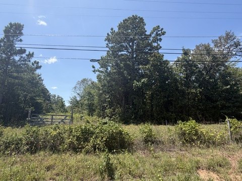 Land, London, AR