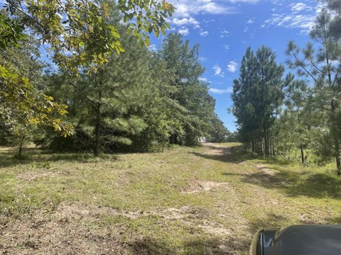 Residential Land in Hephzibah, GA