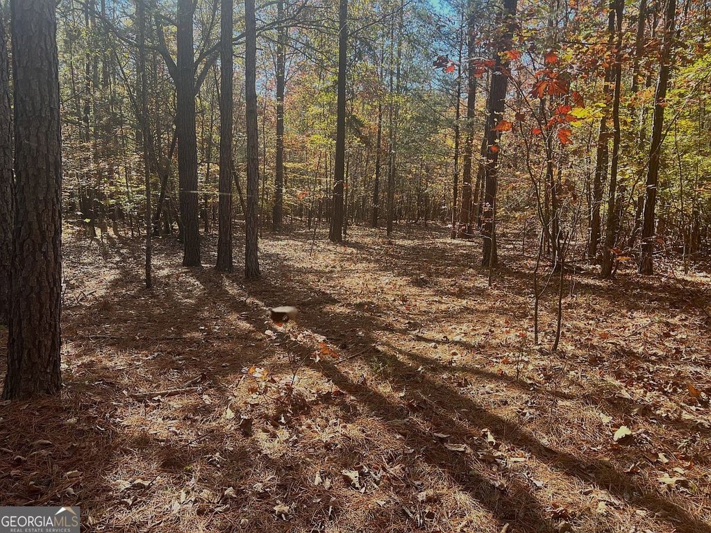 Picture 12