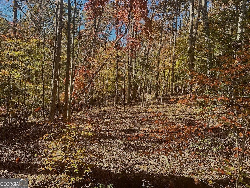 Picture 8
