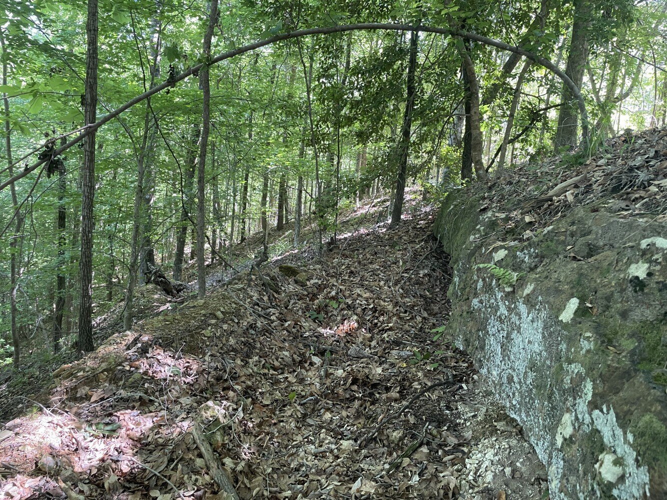90 Acres Hunting/Recreation Land
