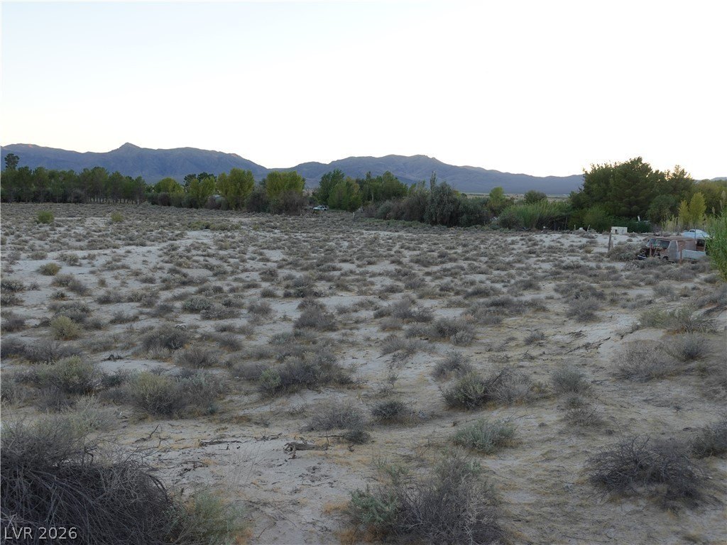 Picture 33