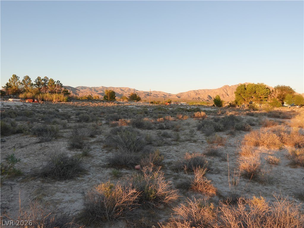 Picture 30