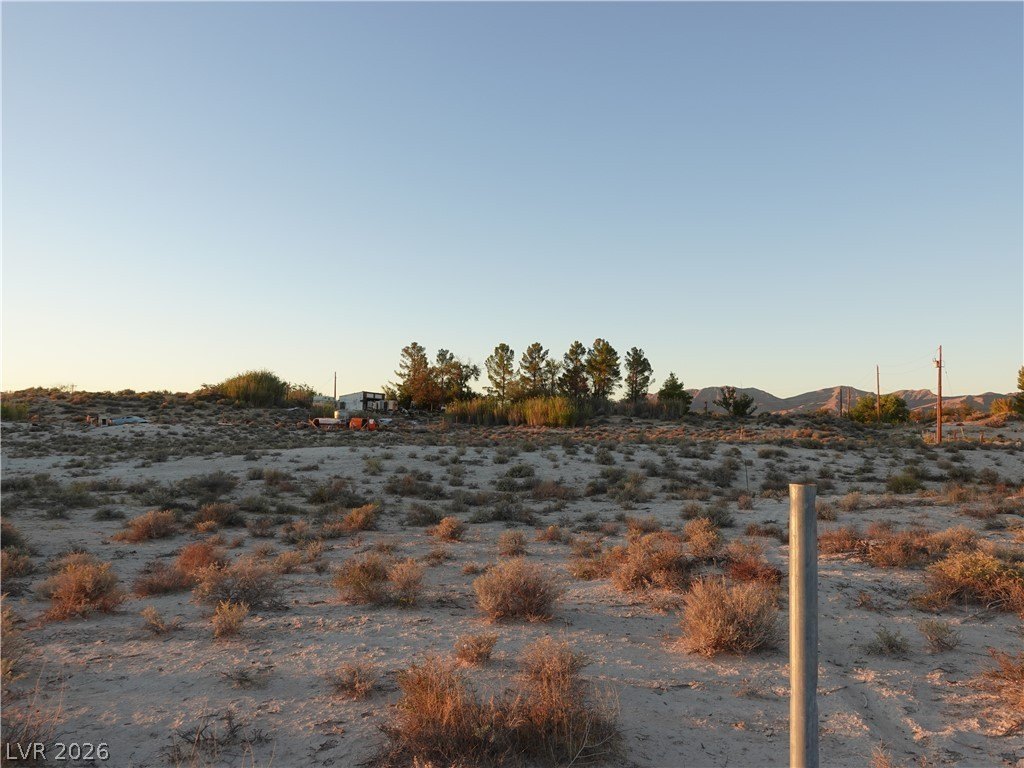 Picture 31
