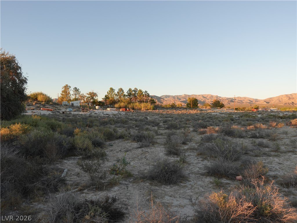 Picture 29