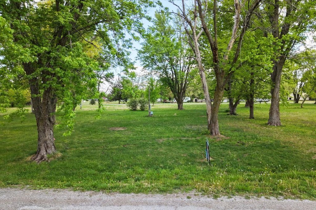 Picture 2