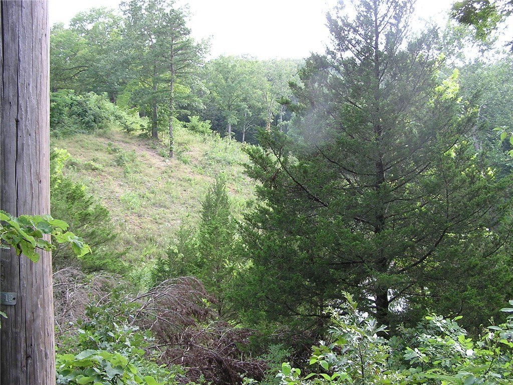 Picture 33