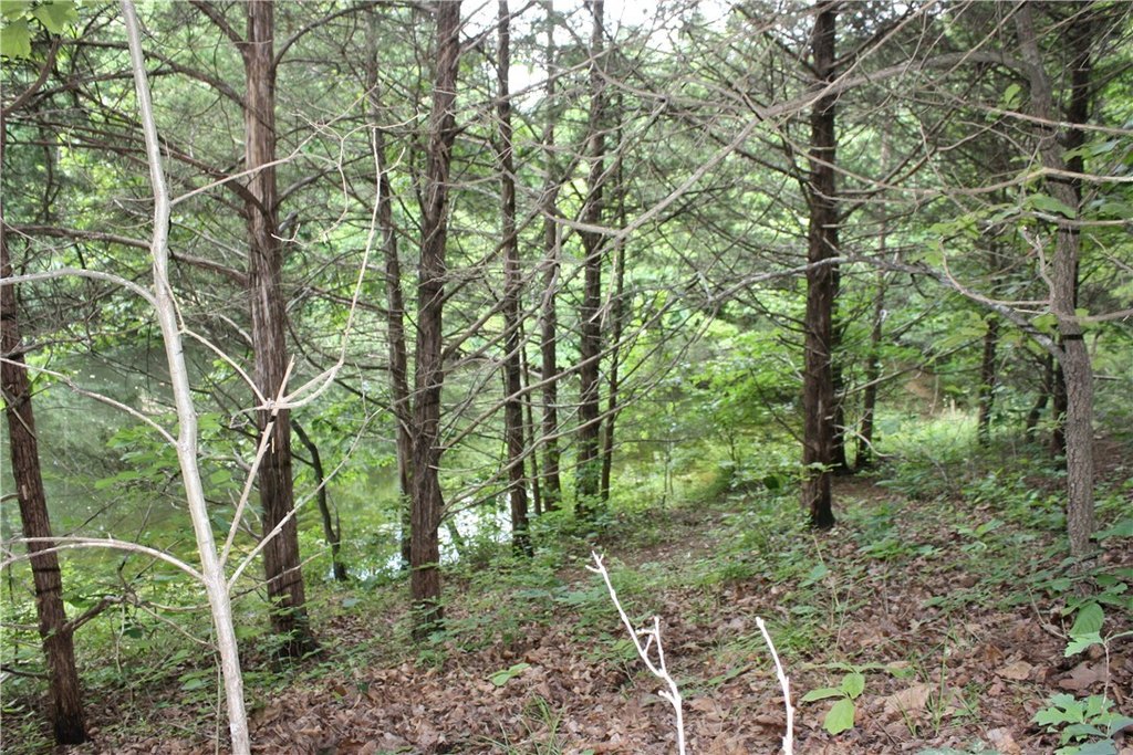 Picture 23