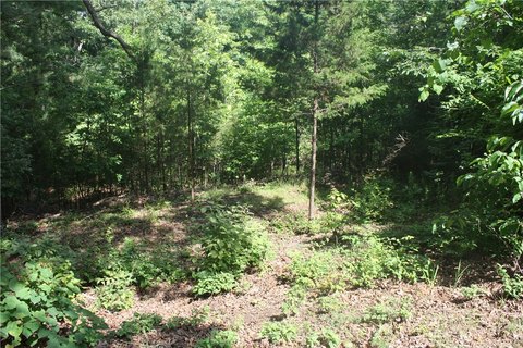 LAND - Bull Shoals, AR