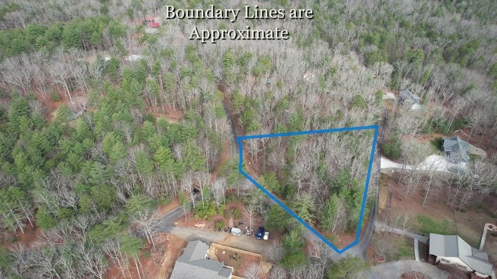 Wooded Lot in Deer Forest