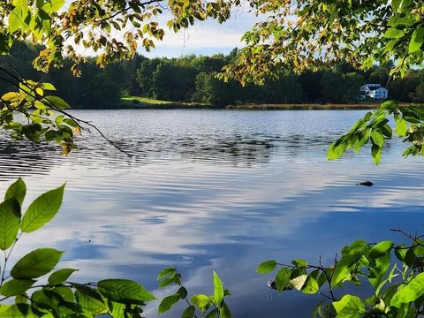 Wooded Waterfront Land