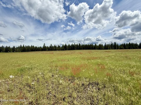 Rural Buildable Land Parcel