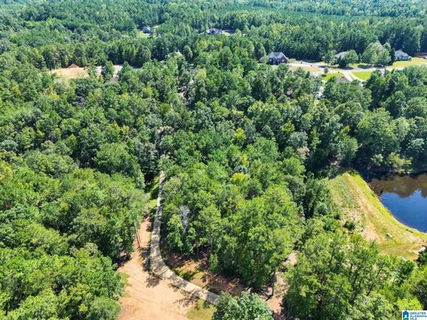 LAND/LOTS, CALERA, AL