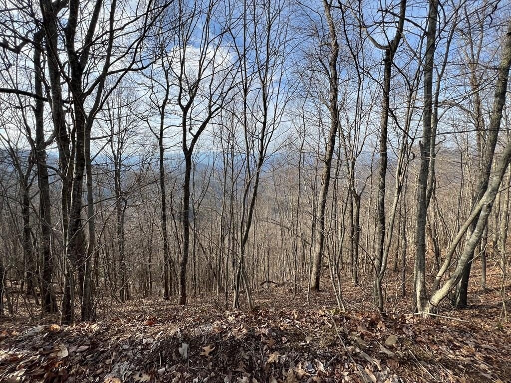 Mountain Ridge Lots with Views
