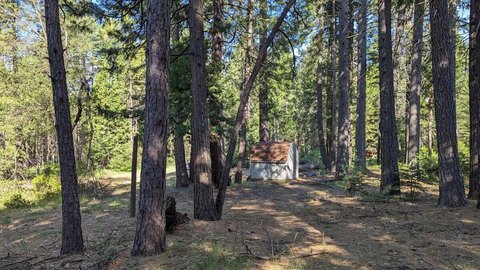 LAND - Shingletown, CA