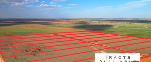 Shallowater, TX 10-Acre Lots
