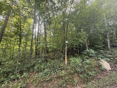 Land, Somerset, KY