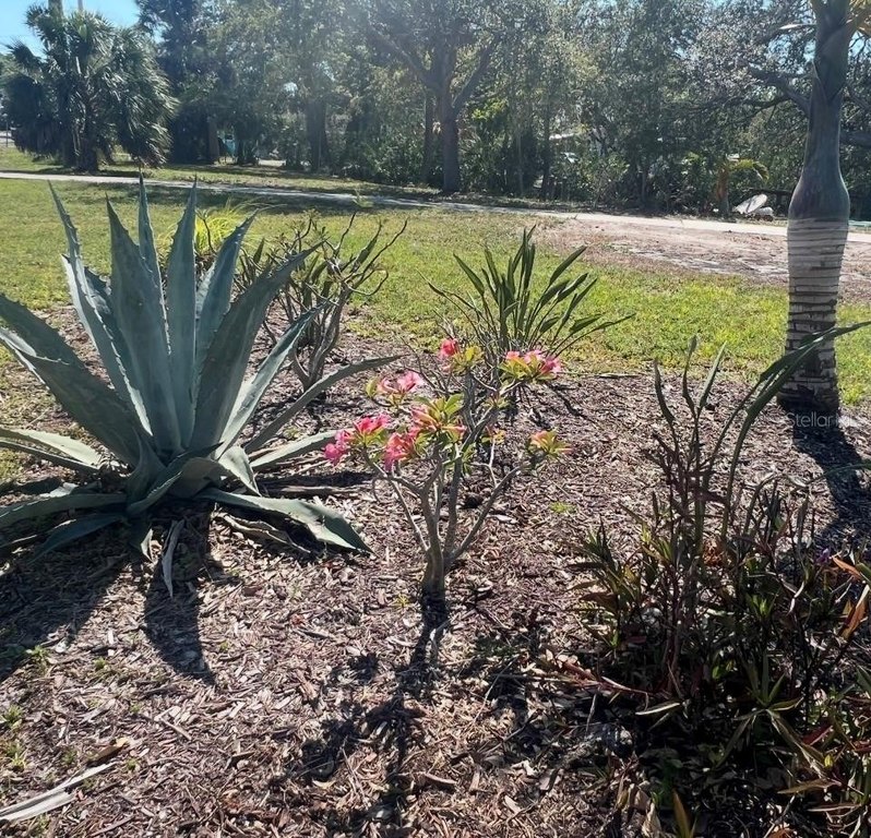 Picture 18