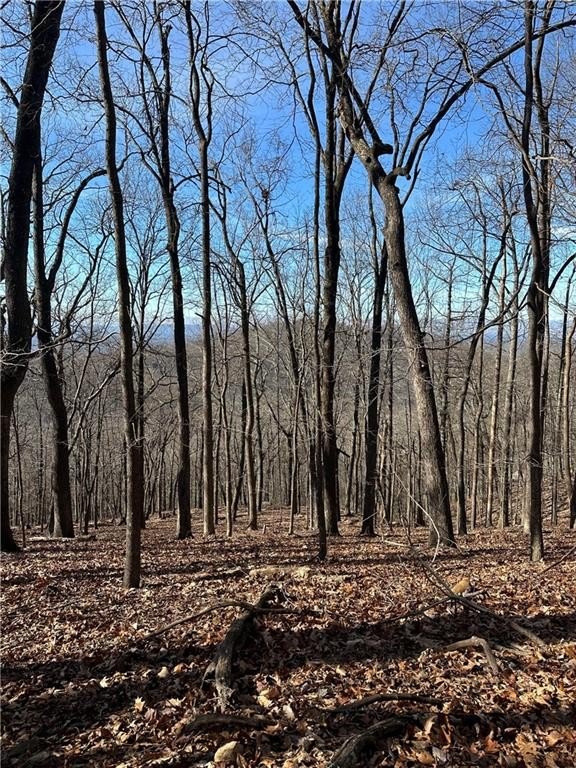Wooded Lot in Bent Tree