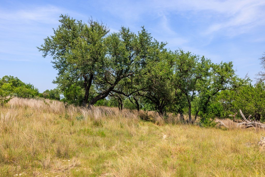 Picture 43