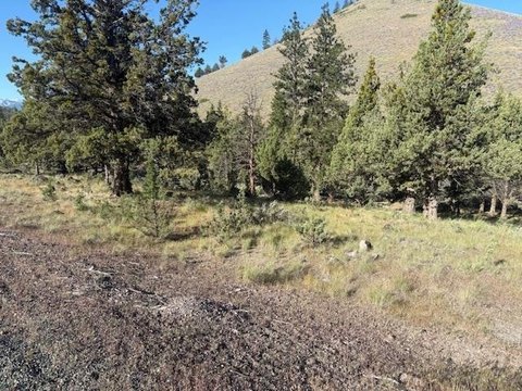 Residential Land in Iron Gate