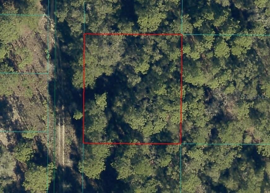 Picture 2