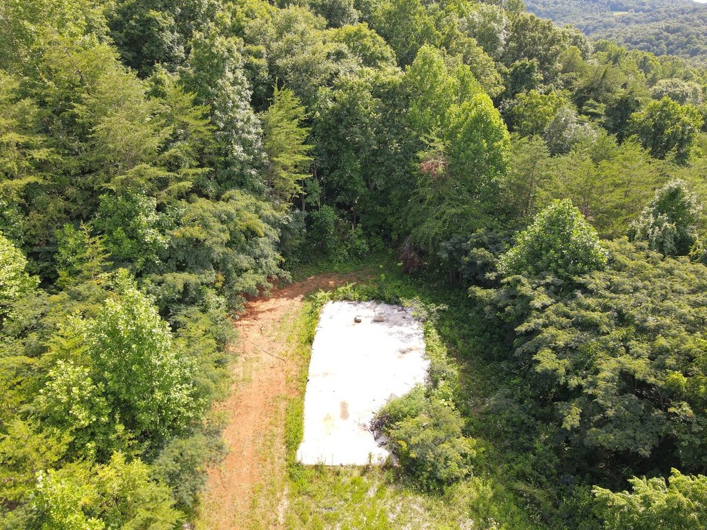 Picture 3