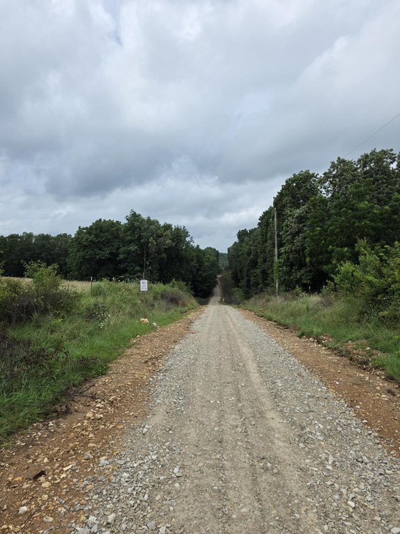 Picture 19