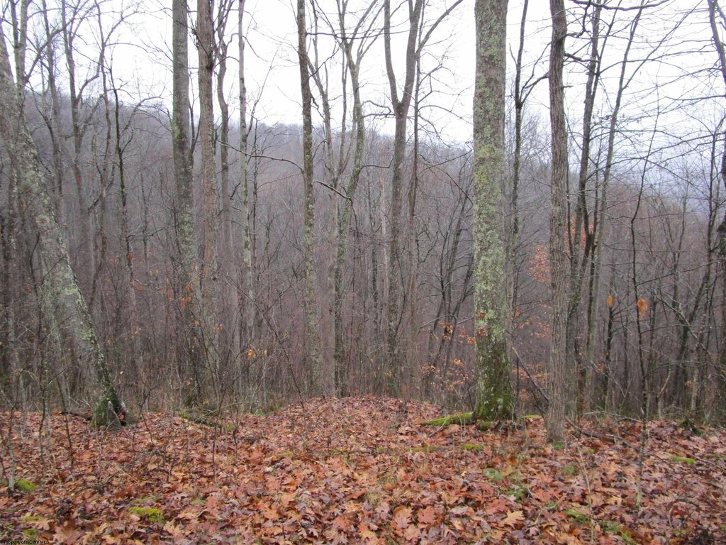 Picture 9