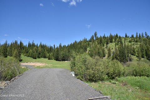 Fernwood Land with Timber