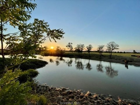 78.96 Acres in Gause, TX